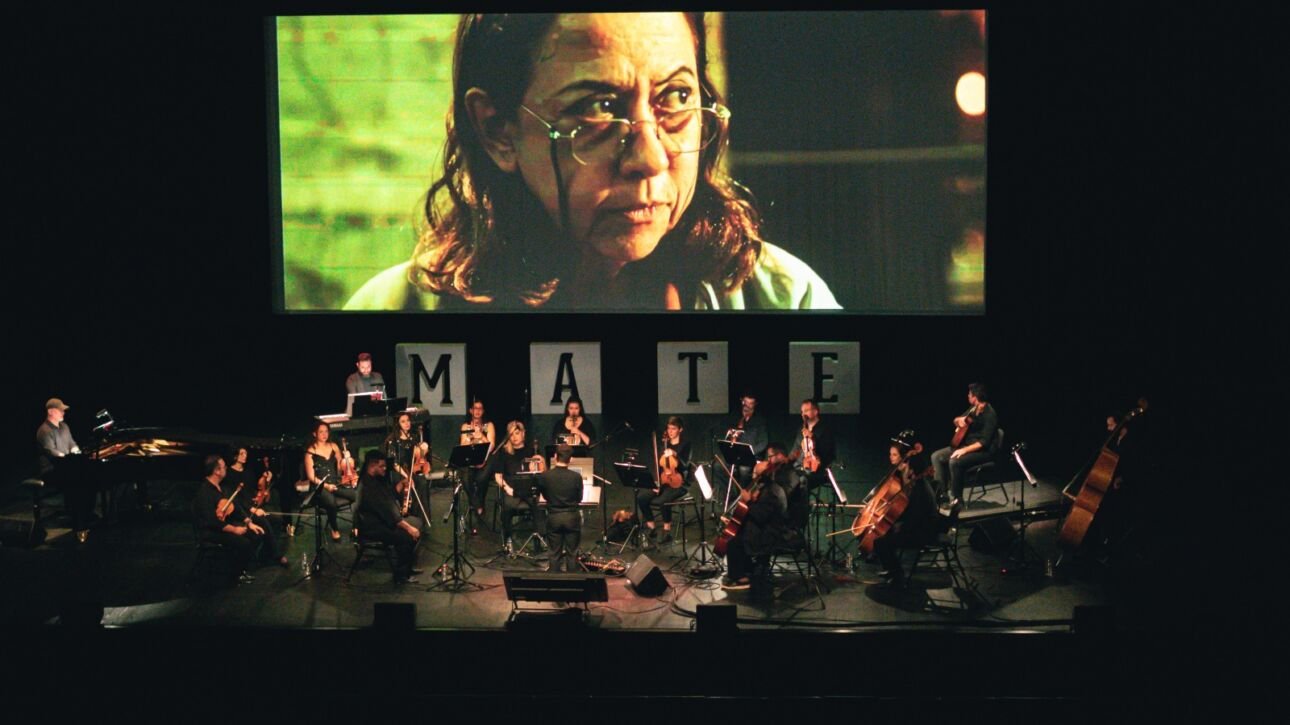 MATE Festival 2024